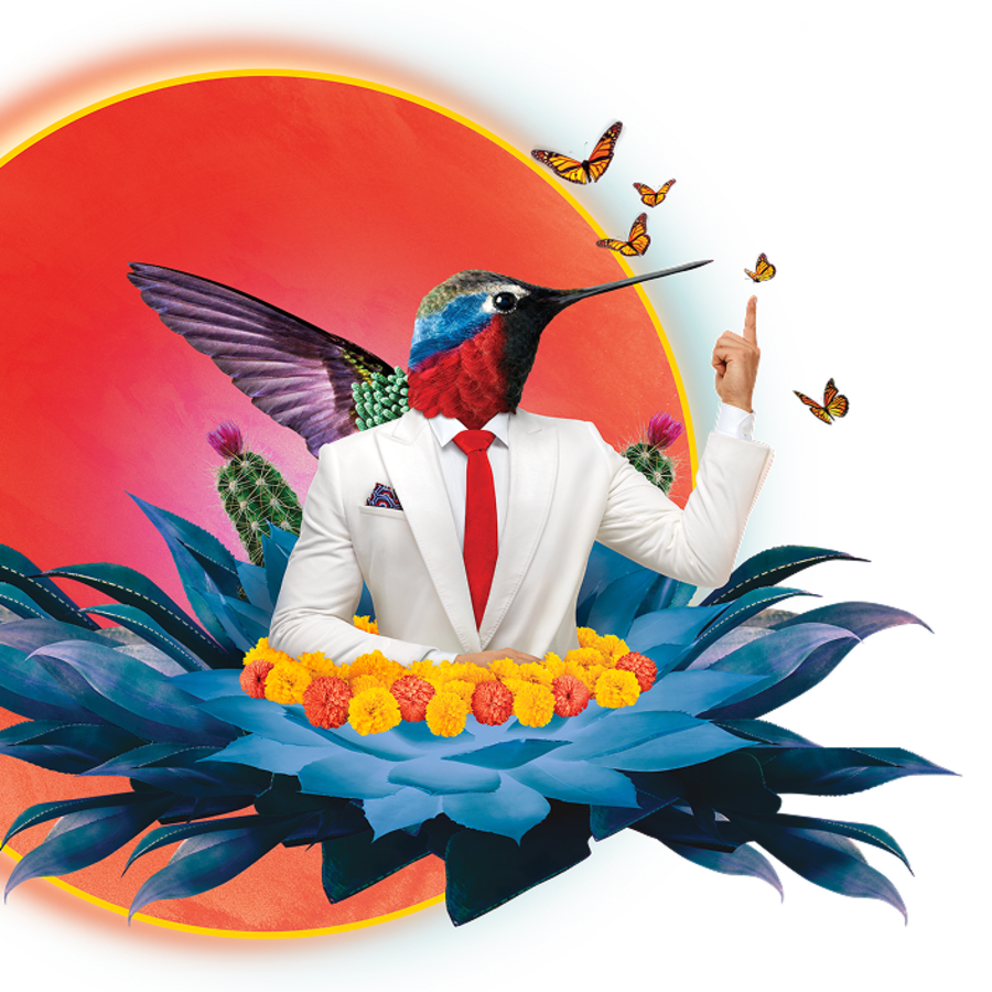 image birdman