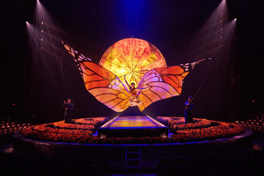 Luzia image vibrant mosaic of Mexico